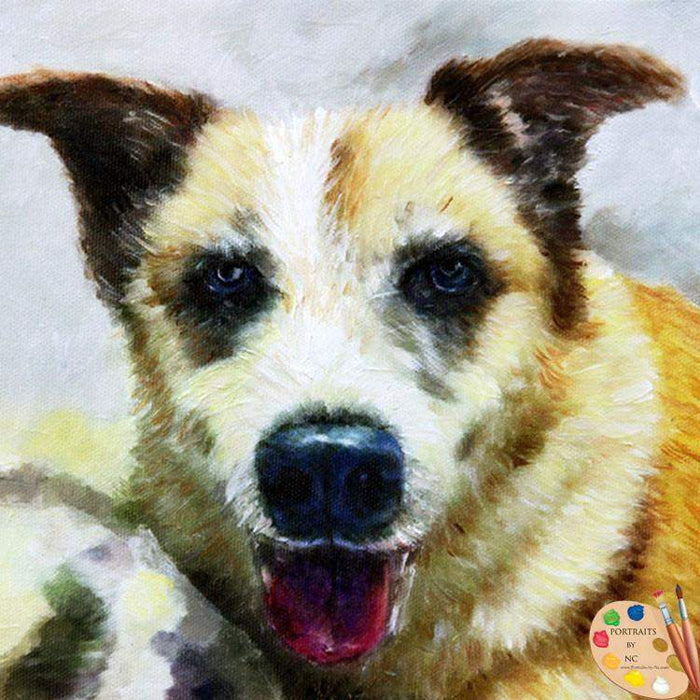 Akita Pet Print 417 - Portraits by NC