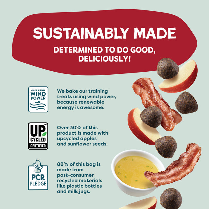Infographic about Shameless Pets Bacon Hits Different Bone Broth Training Treats. Showcases apple & bacon chews, wind power, upcycling, and PCR icons, plus eco-friendly practices and collagen-rich bone broth ingredients.