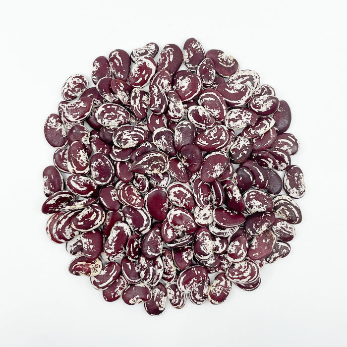 Christmas Lima Beans - Heirloom