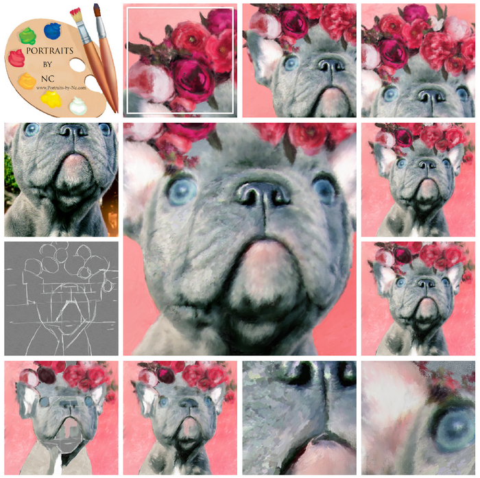 Blue English Bulldog Puppy Portraits 647 - Portraits by NC