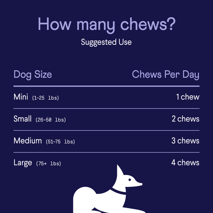 A chart titled How many chews? Suggested Use features Finns Digestive Probiotics Supplement For Dogs, offering a guide to enhance dog digestion. Chew suggestions range from Mini (1) to Large (4), with a white dog silhouette at the bottom.
