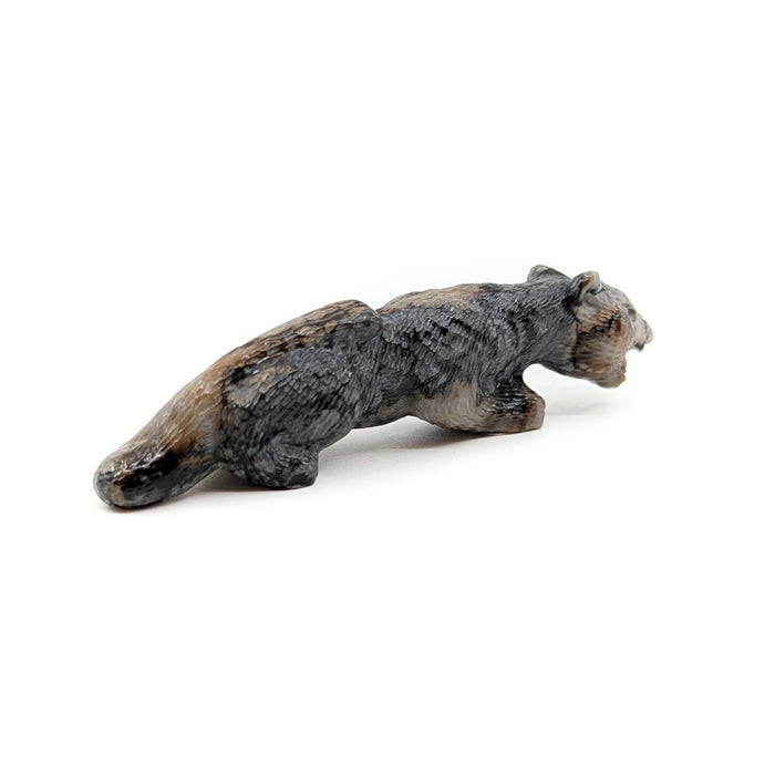 Finely Detailed Crouching Mountain Lion