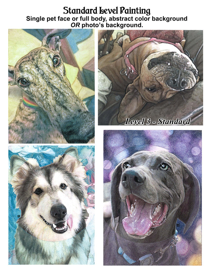 Collage of four standard level pet portraits in different backdrops such as geometric art, a couch, and purple bokeh.
