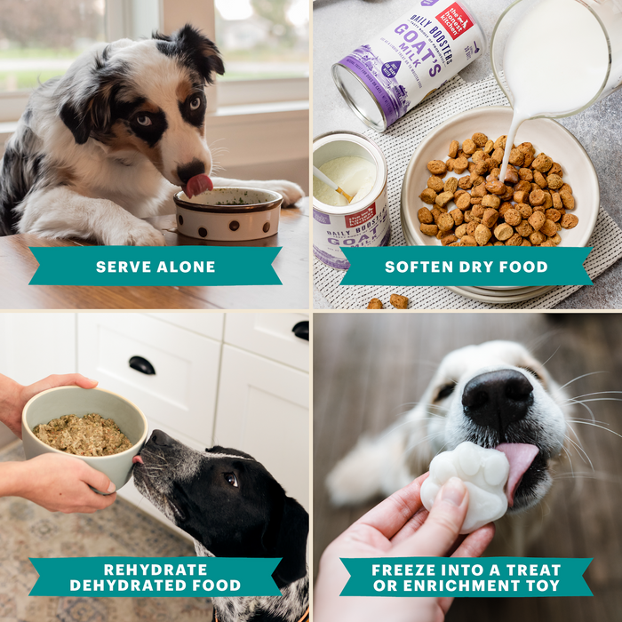 Four images show ways to use The Honest Kitchen Instant Goat's Milk Plus for pets: pouring over kibble, a dog licking a bowl, enjoying rehydrated food, and savoring a frozen treat—all as a probiotic boost for dogs and cats.