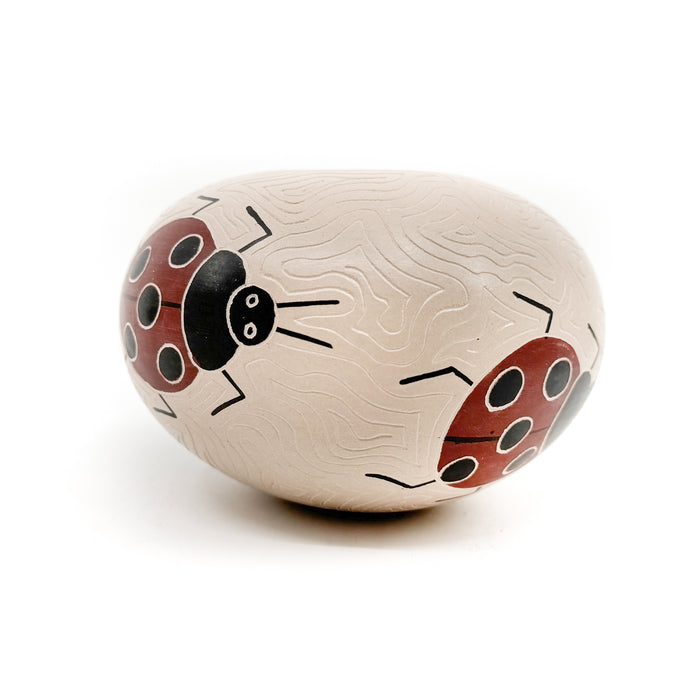 Ladybug Seed Pot