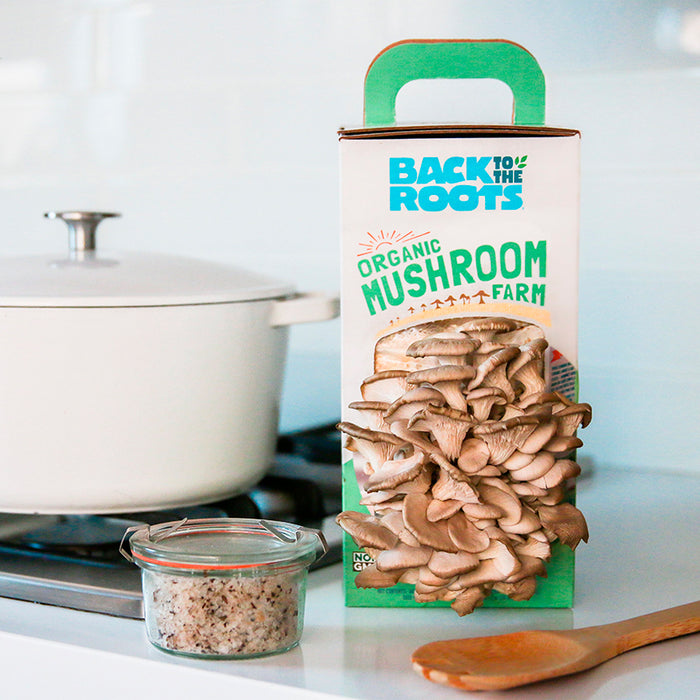 On a white kitchen counter, a pot with a lid sits next to a jar of seasoning and the Back to the Roots Organic Mushroom Grow Kit, an innovative setup that features mushrooms sprouting enthusiastically from its inviting design.