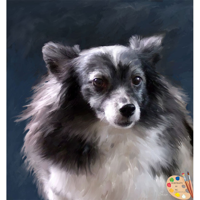 Papillion Dog Painting 284