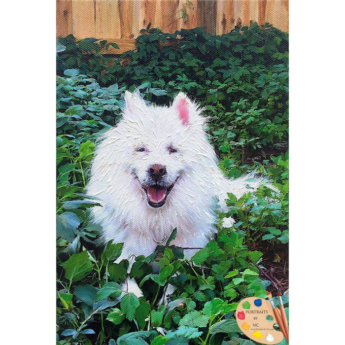Samoyed Dog Painting 467