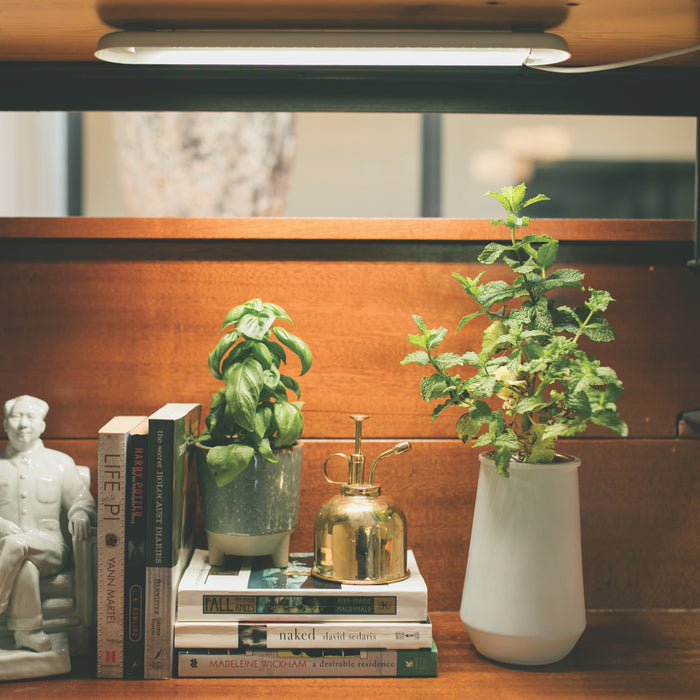 A cozy bookshelf featuring houseplants and a golden mister exudes serenity. Neatly stacked books are warmly lit by an overhead lamp, while a ceramic figure on the left and the Modern Sprout Smart Growbar enhance decoration and nurture greenery with its full spectrum LED light.