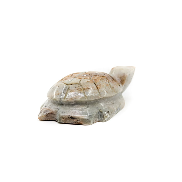 Turtle with Carved Shell by Kenny Chavez