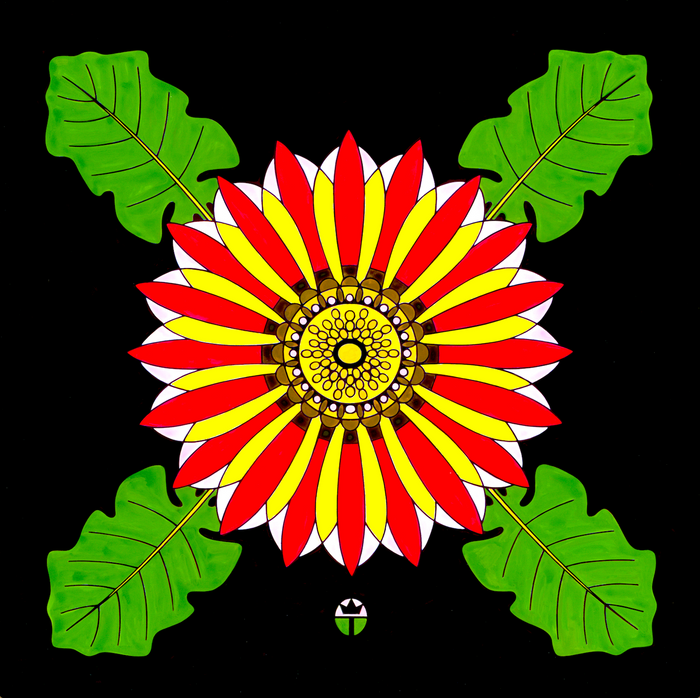 Wil Taylor: "African Daisy" (Framed Print 12"x12")