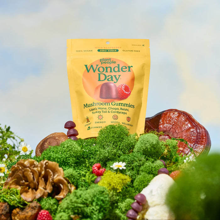 A bag of Plant People WonderDay - Super Mushroom Gummies stands upright outdoors among functional mushrooms, green moss, and small flowers, with a bright blue sky and soft clouds in the background.
