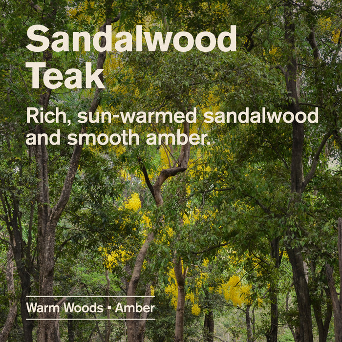 Tall trees with green and yellow foliage fill a sunlit forest. Text reads: Every Man Jack 2-in-1 Shampoo and Conditioner for Men, Naturally Derived. Featuring rich, sun-warmed sandalwood and smooth amber, this formula captures the essence of warm woods with invigorating tea tree—perfect for men’s grooming. Warm Woods • Amber • Invigorating Tea Tree.
