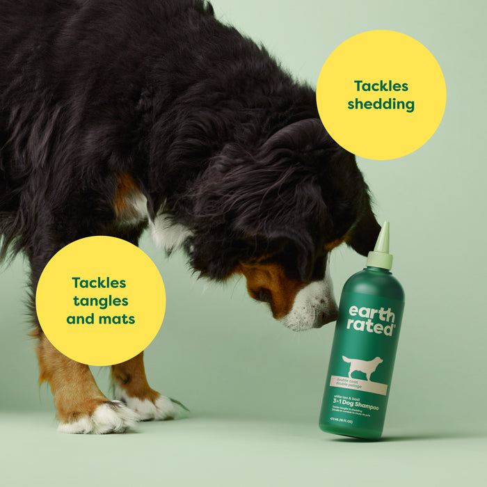 A large dog with black, brown, and white fur sniffs a green bottle of Earth Rateds 3-in-1 Double Coat Dog Shampoo enriched with jojoba seed oil. Yellow circles reading Tackles shedding and Tackles tangles and mats are set against a light green background, ideal for double coats.
