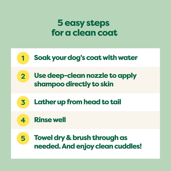 A light green background showcases a step-by-step guide called 5 Easy Steps for a Clean Coat featuring Earth Rateds 3-in-1 Double Coat Dog Shampoo. Steps: 1. Soak with water 2. Apply shampoo nozzle with jojoba seed oil 3. Lather up 4. Rinse well 5. Towel dry and brush gently.