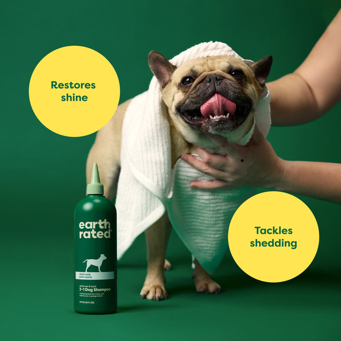 A French Bulldog with a towel on its back stands on a green background, supported by a hand beside a green bottle of Earth Rateds 3-in-1 Short Coat Dog Shampoo. The label highlights argan oil and features yellow circles promising to Restore shine and Tackle shedding.