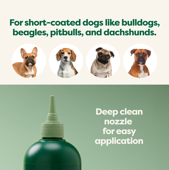 Earth Rated 3-in-1 Short Coat Dog Shampoo features a deep clean nozzle and is ideal for short-coated dogs like bulldogs, beagles, pitbulls, and dachshunds. It contains argan oil for easy application.