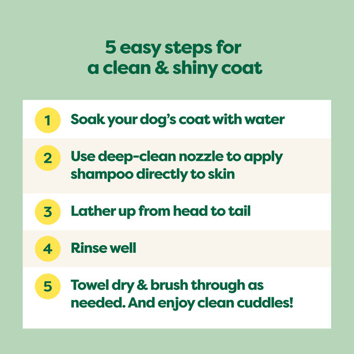 A mint green infographic titled 5 Easy Steps for a Clean & Shiny Coat features numbered steps: 1) Soak your dog’s coat with water, 2) Apply Earth Rateds 3-in-1 Short Coat Dog Shampoo, 3) Lather, 4) Rinse, 5) Towel dry & brush. Ideal for a radiant finish with argan oil-infused care.
