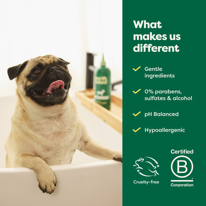 A cheerful pug stands in a tub beside Earth Rateds 3-in-1 Short Coat Dog Shampoo. The green text details its gentle formula: no parabens, sulfates, or alcohol; its pH balanced and hypoallergenic. Infused with argan oil, its also Certified Cruelty-free and B Corporation approved.