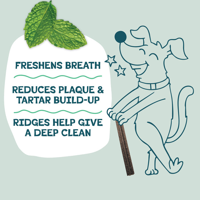 A cheerful cartoon dog chews on Shameless Pets’ A Cluck A Day Probiotic Dental Stick beside three benefits: Freshens breath, Reduces plaque & tartar, Ridges give a deep clean. Two mint leaves appear at the top.