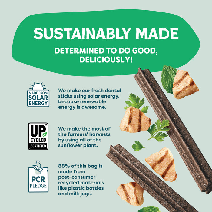 Graphic highlights the Shameless Pets A Cluck A Day Probiotic Dental Stick, showcasing solar energy certification, upcycled ingredients, and recycled packaging, with visuals of dental sticks, herbs, dog treats, and key info.