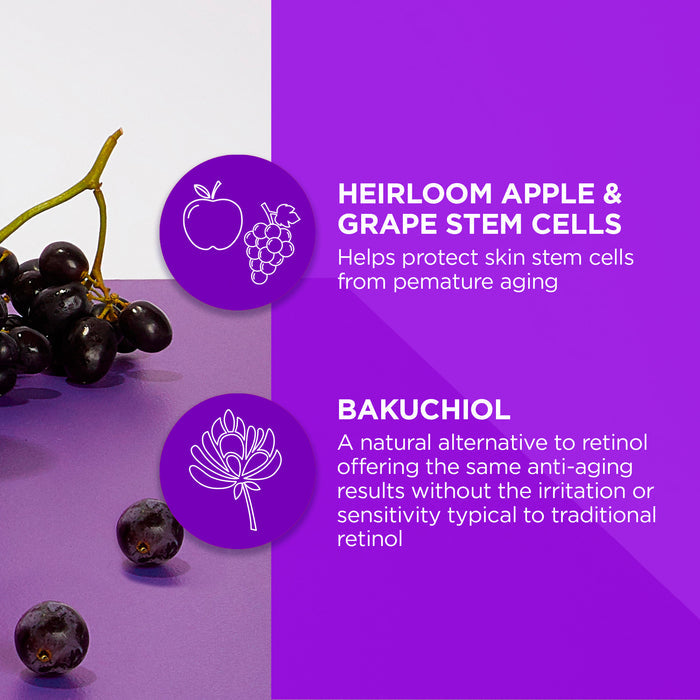 A graphic with a purple background showing text and illustrations. One section highlights heirloom apple and grape stem cells, and the other describes bakuchiol as a natural retinol alternative for anti-aging without irritation.