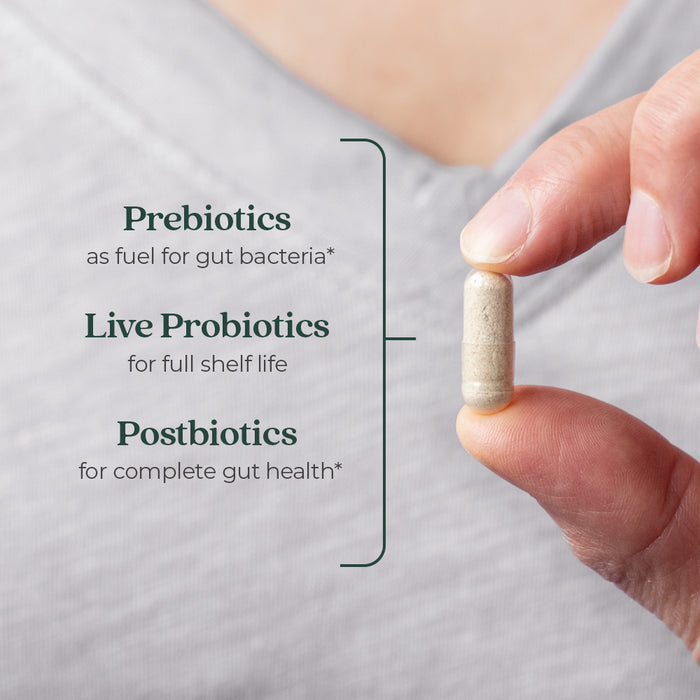 A person holds a capsule. Text: New Chapter All-Flora™ Probiotic for Advanced Digestion & Complete Gut Health—Prebiotics fuel good bacteria, Live Probiotics stay potent, Postbiotics support total gut wellness.
