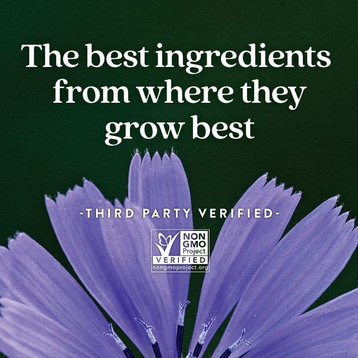 White text on dark green says, “The best ingredients from where they grow best.” Below: Non-GMO Project Verified logo, “Third Party Verified,” and purple petals framing New Chapter All-Flora Probiotic + Prebiotic Gummies, Raspberry Flavored.
