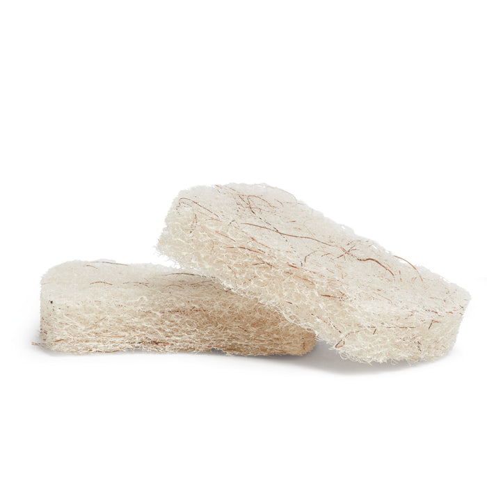 Two white Coconut Scouring Pads from Grove Co. are shown: one upright, one flat. With a texture similar to a coconut scour, these pads effectively exfoliate skin and easily tackle stubborn food messes while being gentle.