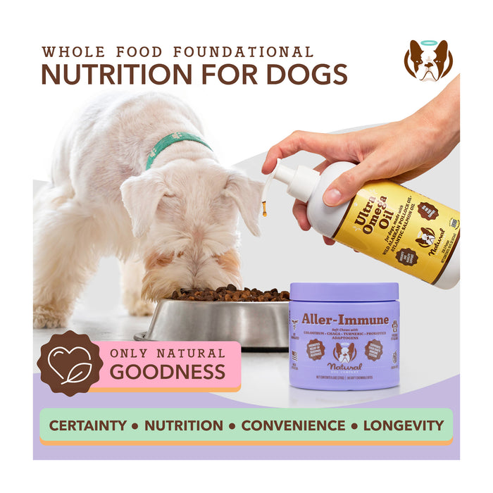 A dog eats from a bowl while someone pours omega oil on the food. A container labeled "Aller-Immune" is in the foreground. Text reads "Whole Food Foundational Nutrition for Dogs" and highlights "Certainty, Nutrition, Convenience, Longevity.