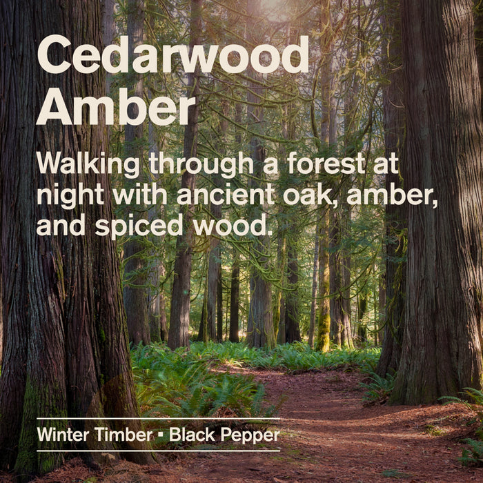A path winds through a dense forest of tall trees, sunlight filtering between branches. Text describes the scent: Cedarwood Amber with notes of oak, amber, and spiced wood—crafted by Every Man Jack as an Aluminum-Free Deodorant for Men with naturally derived ingredients for long-lasting freshness. Bottom text reads: Winter Timber • Black Pepper.