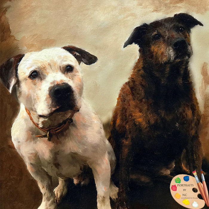 Group Dog Portrait 537
