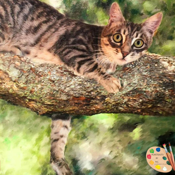 Cat Portrait Cat in Tree 375 - Portraits by NC