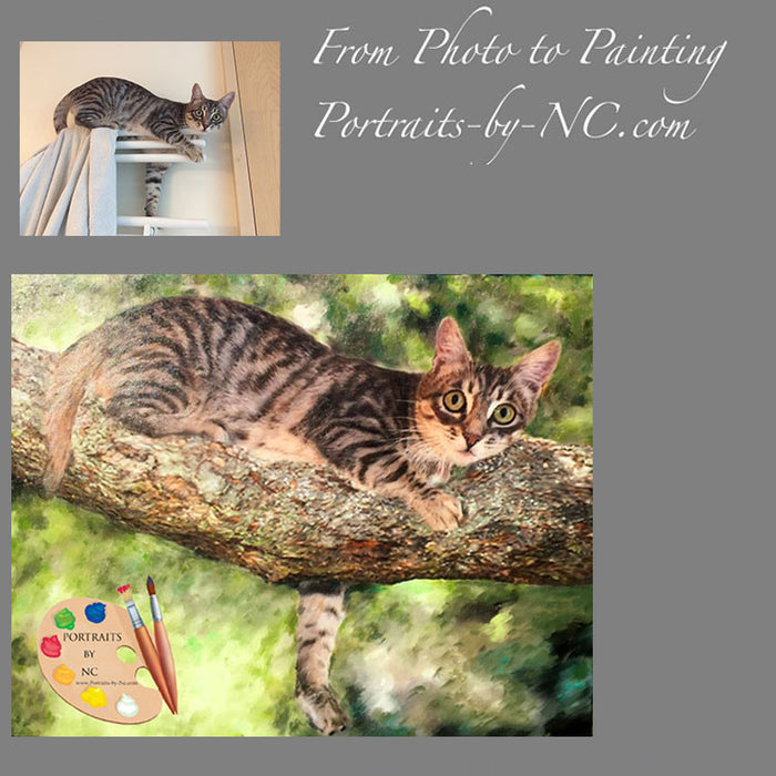 Cat Portrait Cat in Tree 375 - Portraits by NC