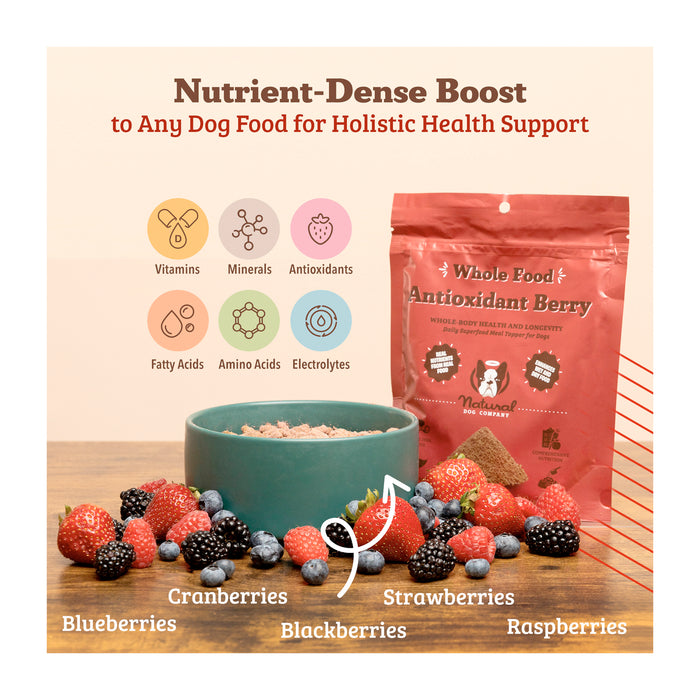 A nutrient supplement package for dogs is shown with berries like blueberries, cranberries, strawberries, blackberries, and raspberries. Icons depict vitamins, minerals, antioxidants, and other nutrients for holistic health support.