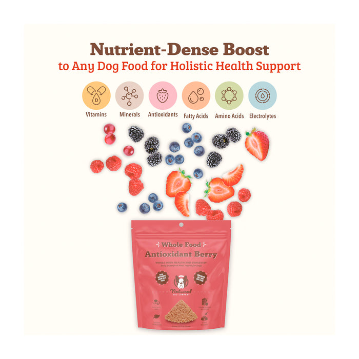 A package labeled "Whole Food Antioxidant Berry" with berries, paw icons, and text listing nutrients like vitamins, minerals, and antioxidants. The tagline reads: "Nutrient-Dense Boost to Any Dog Food for Holistic Health Support.