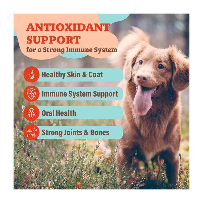 A happy dog with its tongue out stands in a grassy field. Text overlay highlights benefits: "Antioxidant Support for a Strong Immune System" with icons and text for healthy skin, immune system, oral health, and strong joints and bones.