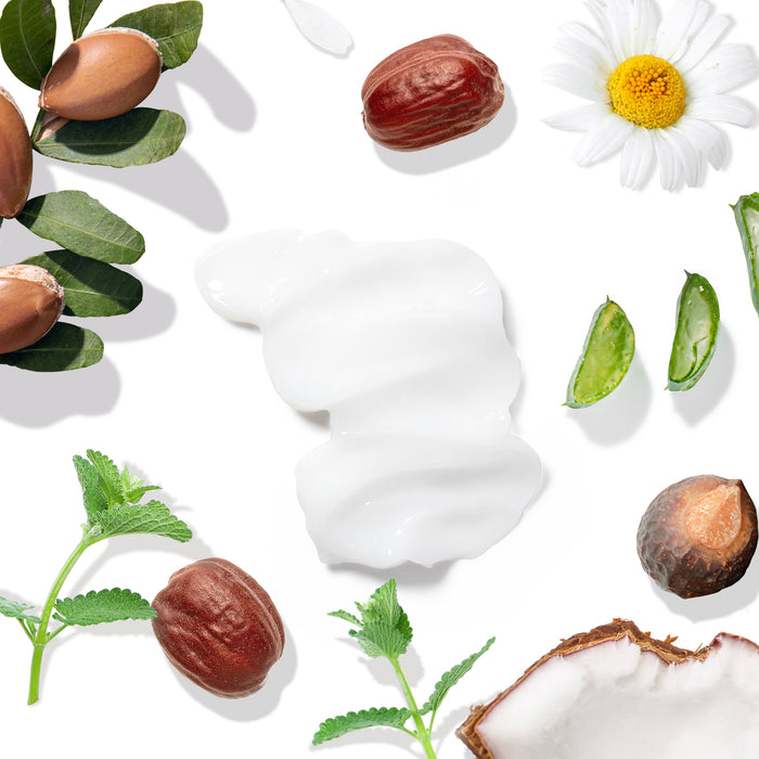 A swirled dollop of white cream is encircled by natural elements like argan nuts, chamomile flowers, and mint leaves—capturing the essence of Tree To Tubs Argan Oil Cleansing Conditioner for Oily Hair. Aloe vera slices and a coconut piece enhance the tranquil scene against a white backdrop.