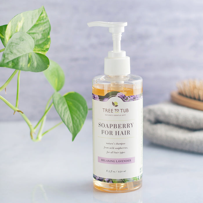 A bottle of Tree To Tub Argan Oil Hydrating Shampoo for Dry Scalp & Hair with a Relaxing Lavender label is displayed alongside a green plant and folded gray towels on a light surface, creating a clean, minimalistic setting ideal for rejuvenation.