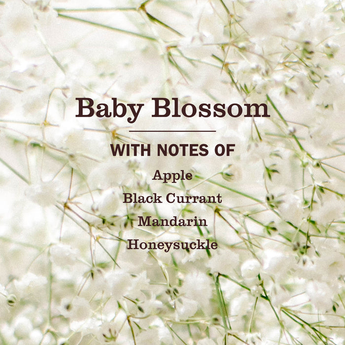 Delicate notes of apple, black currant, mandarin, and honeysuckle blend over a backdrop of soft white baby’s breath flowers and slender green stems, capturing the fresh and airy essence found in Mrs. Meyer’s Baby Laundry Detergent—crafted with naturally derived ingredients.