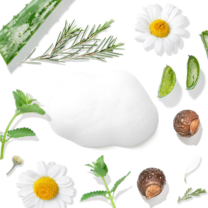 A cloud of white foam infuses the pristine background, surrounded by aloe vera slices, chamomile flowers, rosemary sprigs, shea nuts, and green leaves. Ideal for tackling oily skin, the luxurious Balancing Tea Tree Face Wash for Oily Skin by Tree To Tub is a must-have.