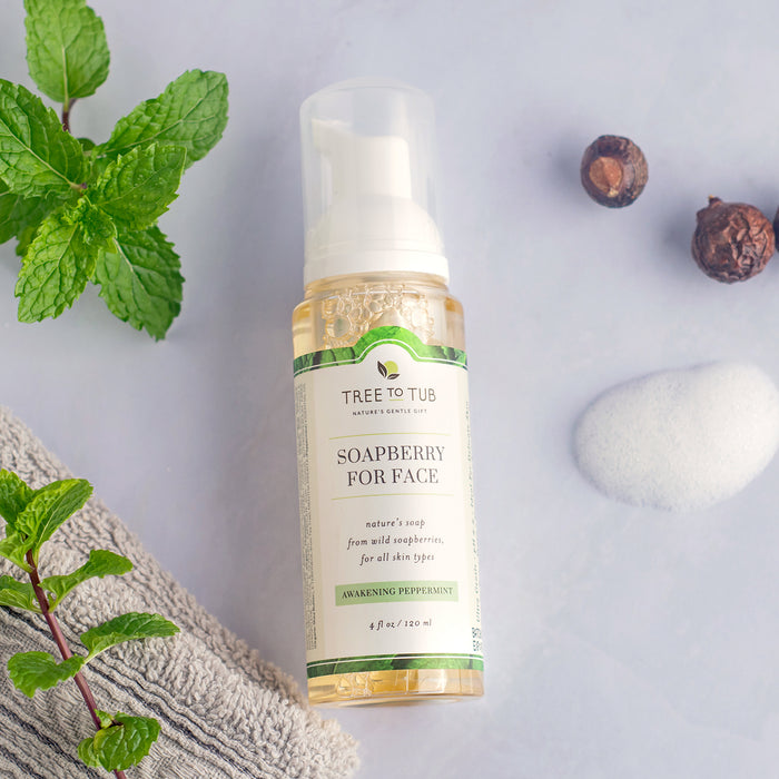 A bottle of Tree To Tubs Balancing Tea Tree Face Wash for Oily Skin rests on a gray surface with a mint leaf. The label reads Soapberry for Face, Awakening Peppermint. Nearby are a gray towel, two soapberries, and a white pumice stone, perfect for foaming facial cleansers in oily skin care routines.