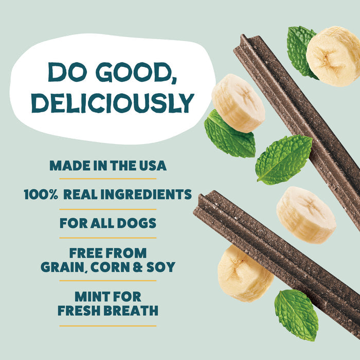 Two Shameless Pets Banana Bone-anza Dental Sticks with banana and mint. Made in the USA from 100% real, grain-free ingredients; mint for fresh breath. No corn or soy—delicious dog treats for all pups!.