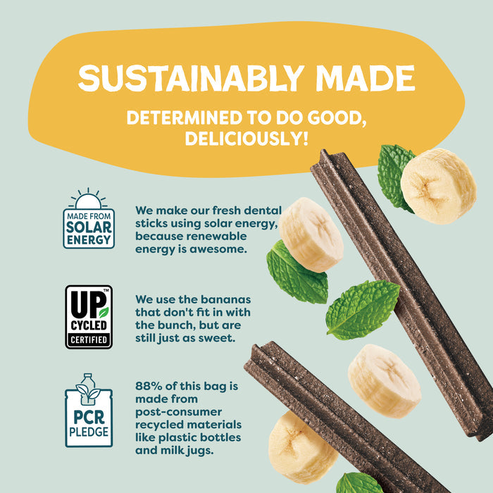 Graphic featuring Shameless Pets Banana Bone-anza Dental Stick with banana slices and mint leaves, spotlighting grain-free treats made using solar energy, upcycled bananas, and 88% post-consumer recycled packaging.