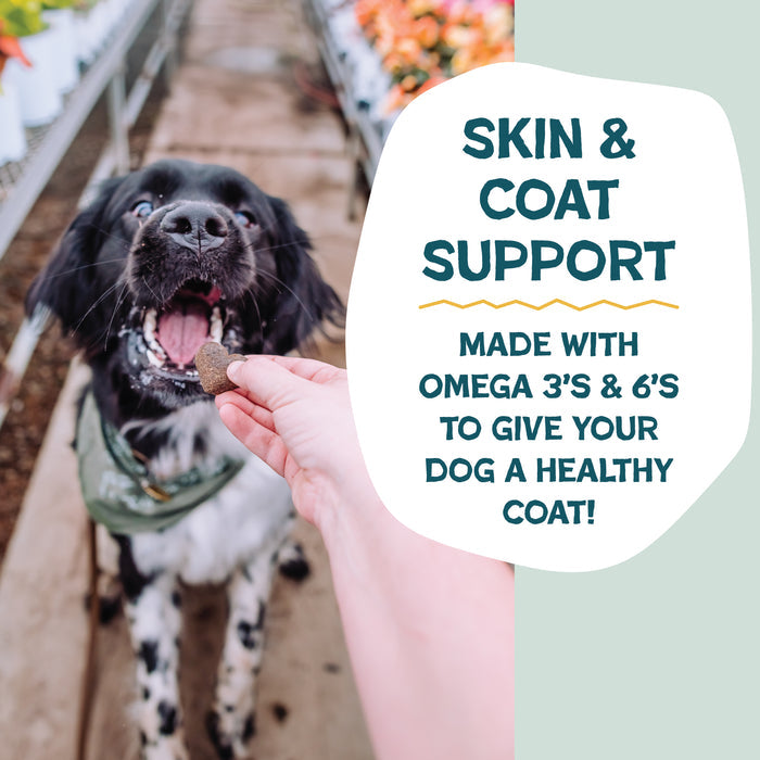 A person holds a treat for a happy black and white dog in a green bandana. Text: Shameless Pets Bananas for Bacon Soft-Baked Dog Treats—natural treats with omega 3 & 6 to support your pup’s healthy, shiny coat!.