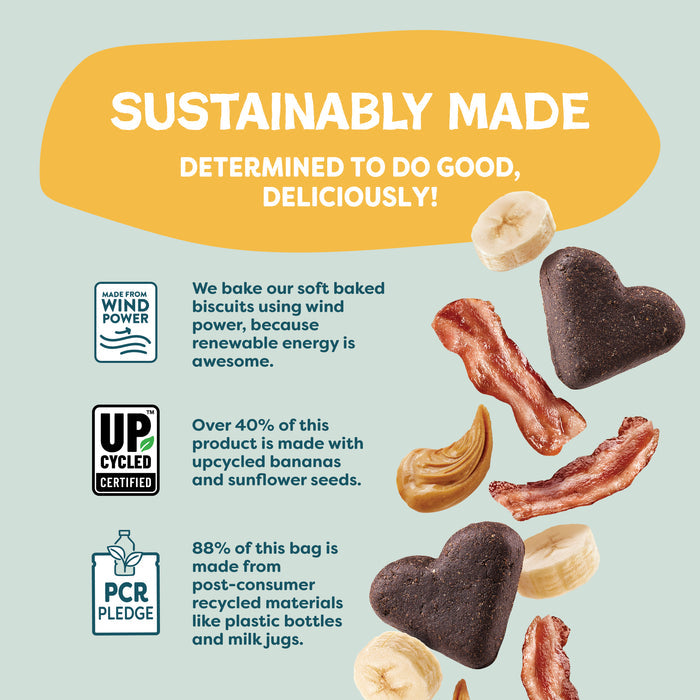 An infographic titled Sustainably Made features Shameless Pets Bananas for Bacon Soft-Baked Dog Treats, shaped like hearts, bacon strips, and banana pieces—natural treats made using wind power, upcycling, and recycled materials.