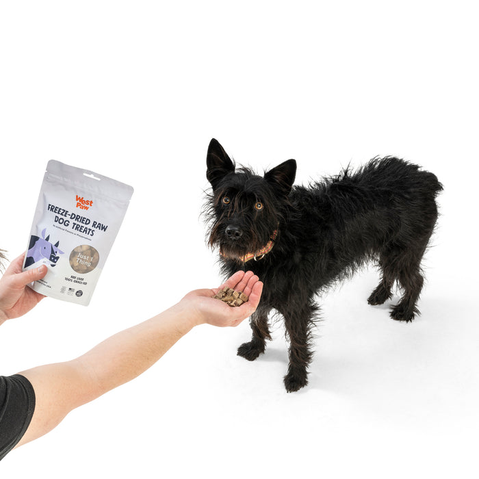 A black, scruffy dog curiously eyes a person offering West Paw Beef Liver Freeze Dried Raw Single Ingredient Dog Treats. The package features a blue cartoon dog with paw prints against a plain white background, highlighting the excitement for these enticing treats.