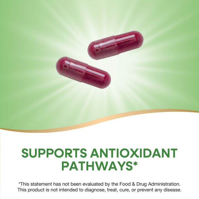 Two red capsules on a green background with “SUPPORTS ANTIOXIDANT PATHWAYS*” showcase Natures Way Beet Root for antioxidant support, with an FDA disclaimer displayed below.