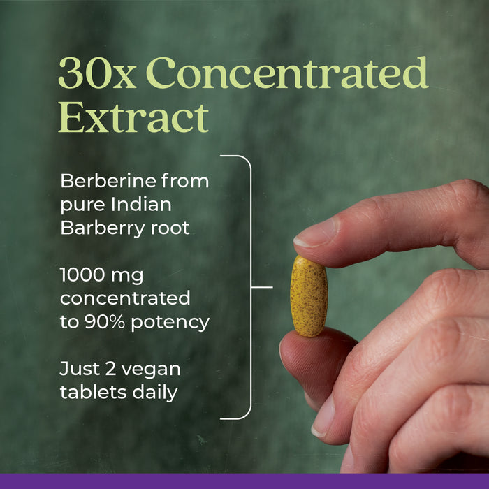 A hand holding a yellow tablet against a green background. Text on the image reads: "30x Concentrated Extract. Berberine from pure Indian Barberry root. 1000 mg concentrated to 90% potency. Just 2 vegan tablets daily.