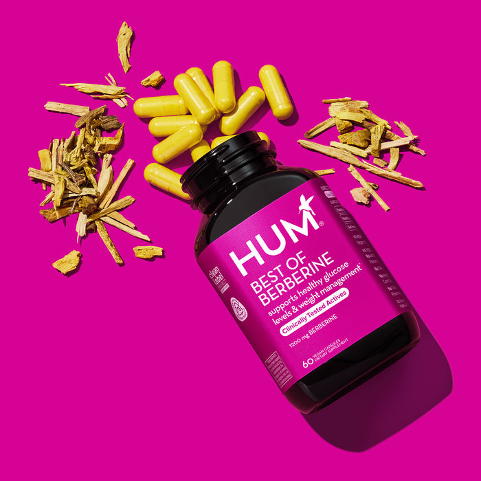 An open black bottle of Best of Berberine - For Metabolism & Weight Management by HUM Nutrition spills yellow capsules next to crushed dry roots on a magenta background, offering powerful support for metabolism and healthy glucose levels.